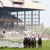 Curragh Race Course